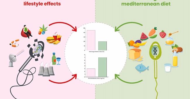 Study links organic Mediterranean diet to improved male fertility