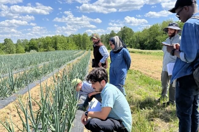 organic inspections inpsectors u.s. ioia organic insider market and challenges