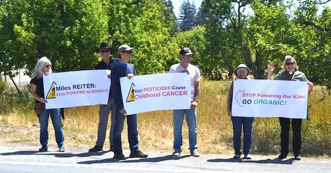 protest against Driscoll's to go fully organic