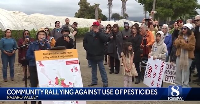 protest against pesticides watsonville