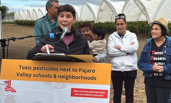 Dr. Ann López, executive director at the Center for Farmworker Families