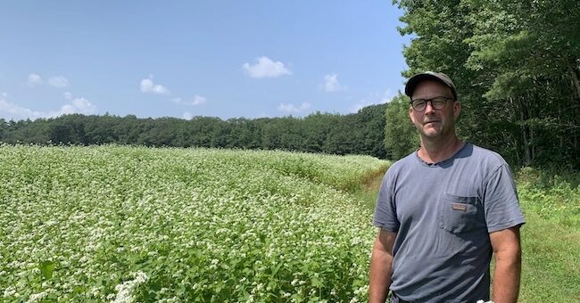 organic food struggles in Maine