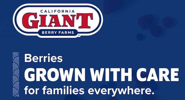 hunger strike california giant berry farms protest pesticides watsonville