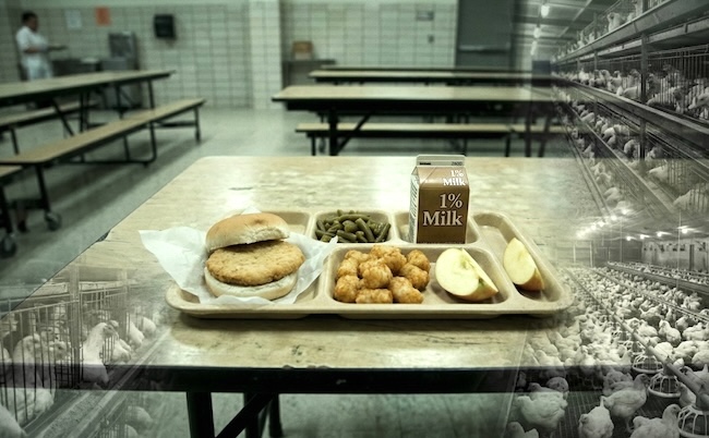 ButcherBox letter to USDA Brooke Rollins no antibiotics school lunch program